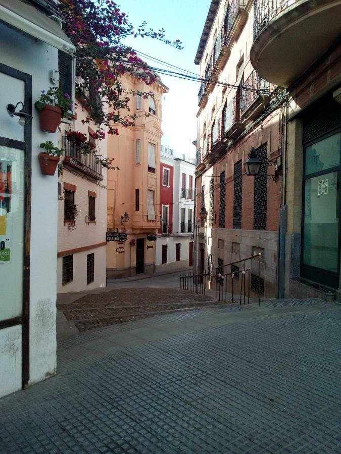Vivienda Turistica Templo Romano Córdoba Eksteriør billede